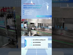 Maschine für das Verpacken von Boxen