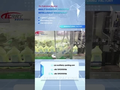 2L Reinigungsmittel shengdailisha